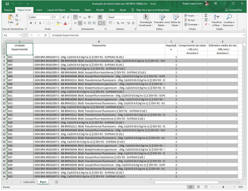 Exemplo de planilha de dados exportada no formato MS-Excel.
